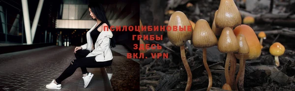 ALPHA-PVP Баксан