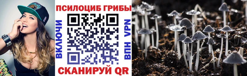 цены   hydra ONION  Галлюциногенные грибы прущие грибы  Ершов 